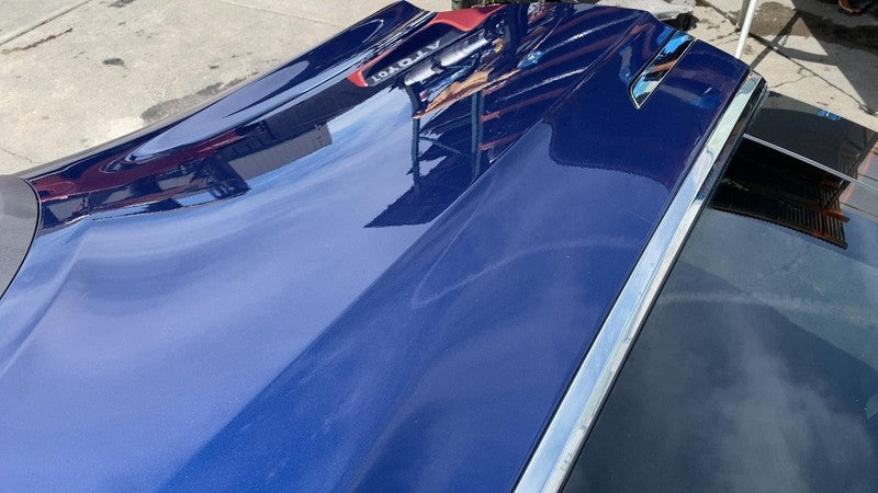 ⭕ 16-24 Tesla Model X Rear Left Falcon Door Shell Panel Blue - PPSB 10