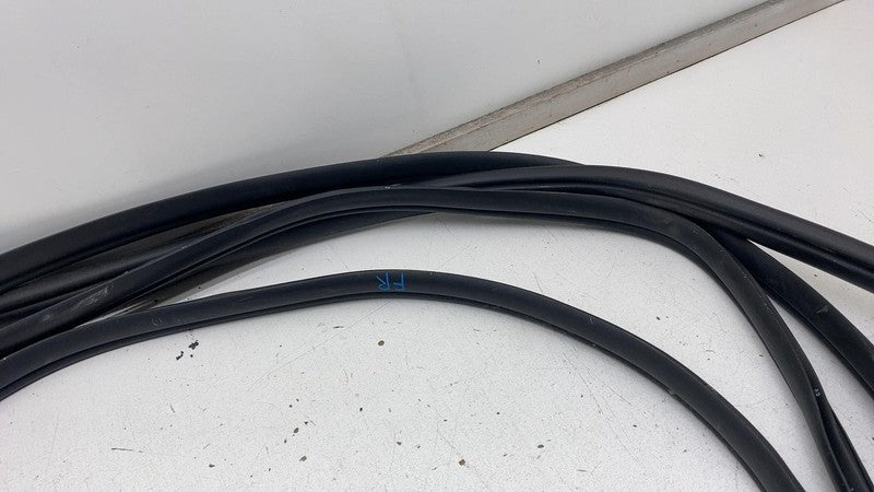 2022-2024 Kia EV6 Front & Rear Left  & Right  Door Body Weatherstrip Rubber Seal