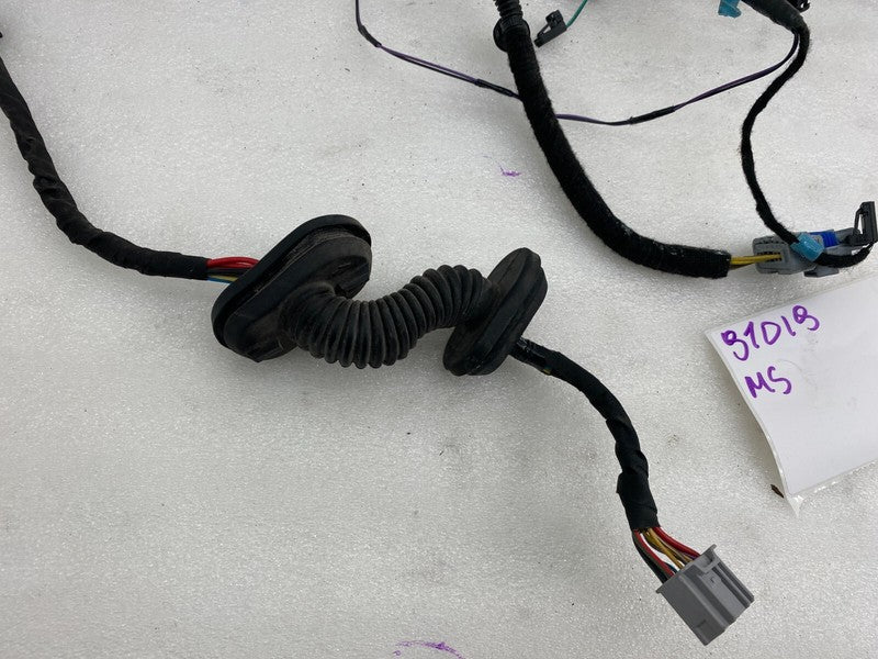 ⭕ 12-20 Model S Rear Passenger Door Wiring Harness Wire Loom Right 100