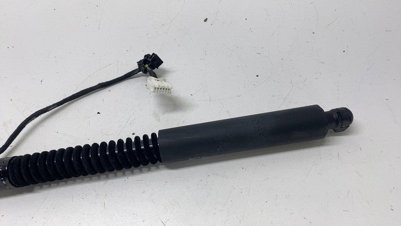 ⭕ 16-24 Model X Rear Left / Front Right Primary Door Lift Gas Strut 10