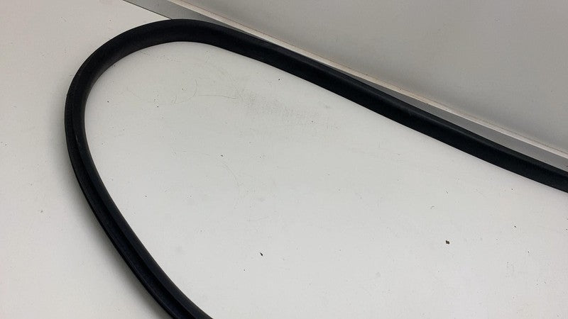 ⭕ 20-23 Tesla Model Y Front Driver Side Door Body Weatherstrip Rubber 