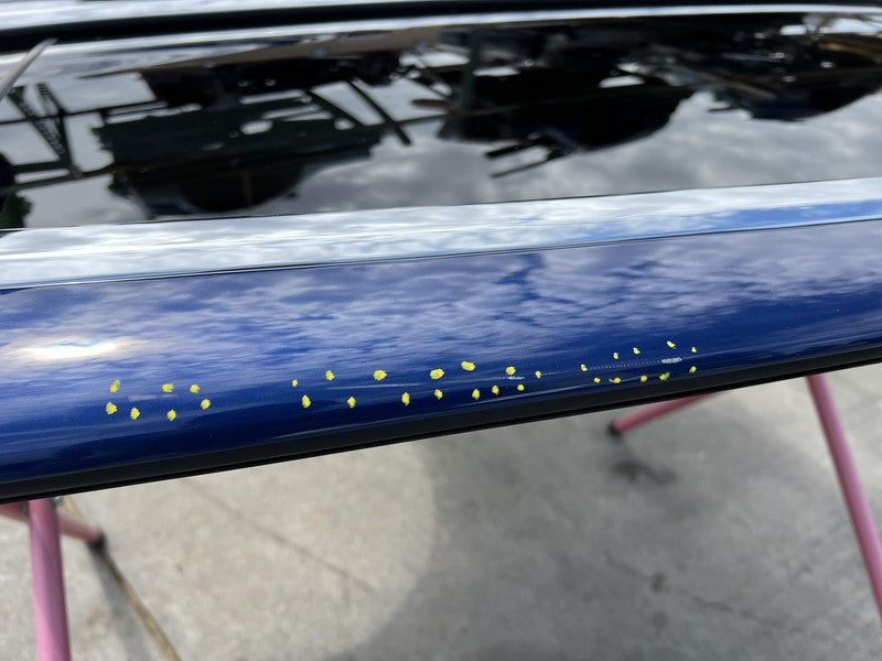 1028790-00-K ⭕ 2016-2024 Tesla Model X Rear Driver Side Falcon Door Panel Left LH Blue - PPSB