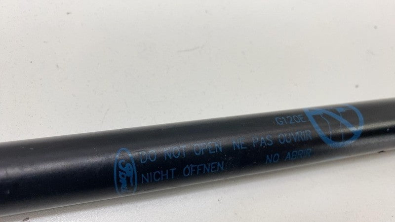 AM51 R406A10 BA 2013-2018 Ford C-Max PAIR of Rear Trunk Hatch Liftgate Gas Spring Lift Support