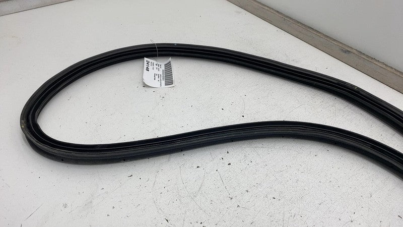 2022 2023 2024 Kia EV6 Rear Door Body Weatherstrip Rubber Seal Assembly OEM