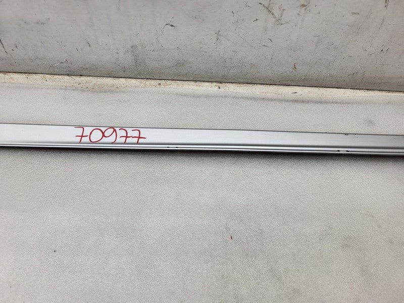 101221500F ⭕ 12-25 Model S Driver Side Rocker Panel Scuff Plate Molding Left 1012215-00-F