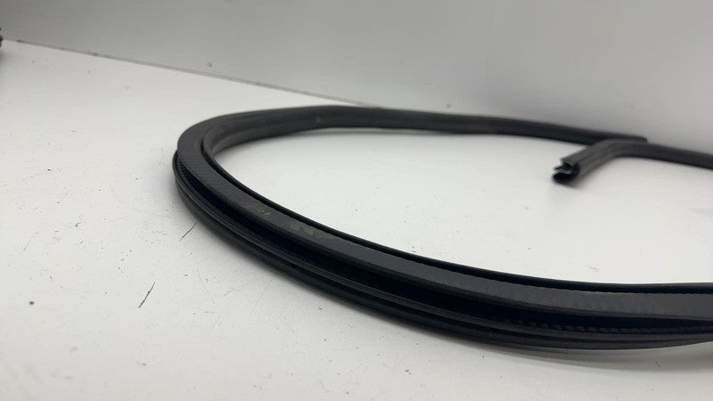 ⭕ 21-24 Mustang Mach-E Front Passenger Right Door Body Weatherstrip Rubber Seal