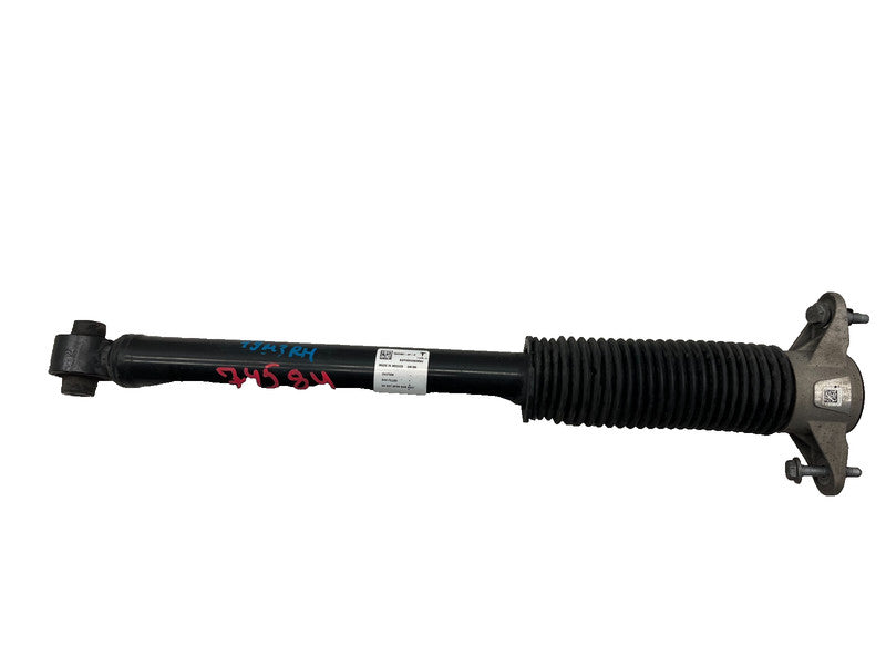 ⭕ 17-23 Model 3 Rear Left or Right Shock Strut Absorber Damper AWD 1044461-01-E