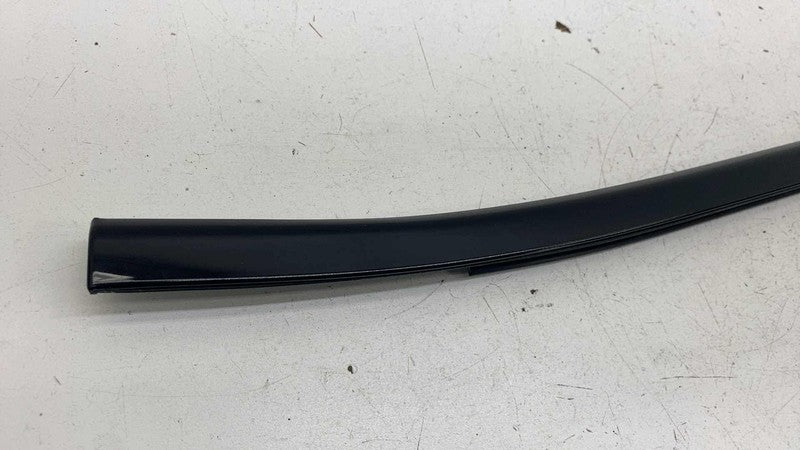 ⭕ 2017-2025 Chrysler Pacifica Front Driver Side Door Window Belt Molding Left LH