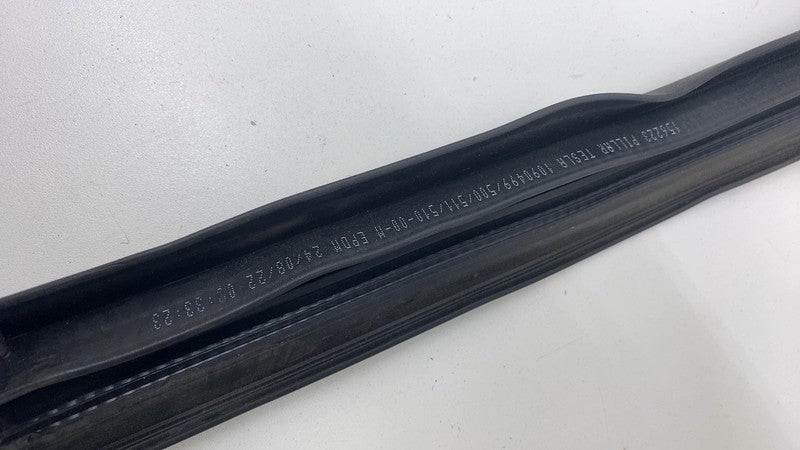 2017-2023 Tesla Model 3 Rear Passenger Right Door Body Weatherstrip Rubber Seal
