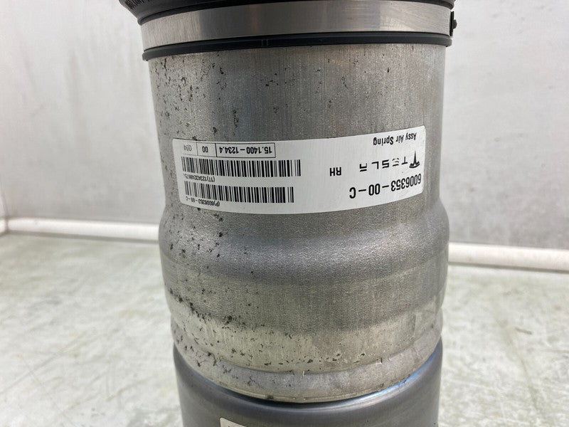 600635300C ⭕ 12-15 Model S Rear Passenger Air Suspension Spring Module Right 6006353-00-C