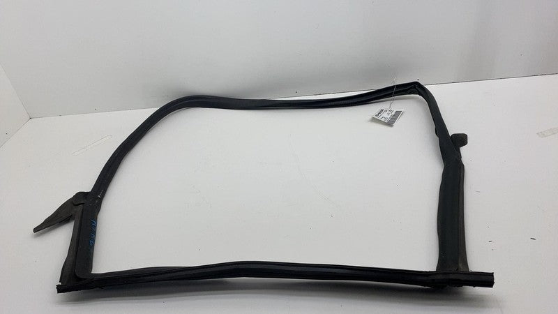 2017-2023 Tesla Model 3 Rear Driver Side Left Door Primary Weatherstrip Seal OEM