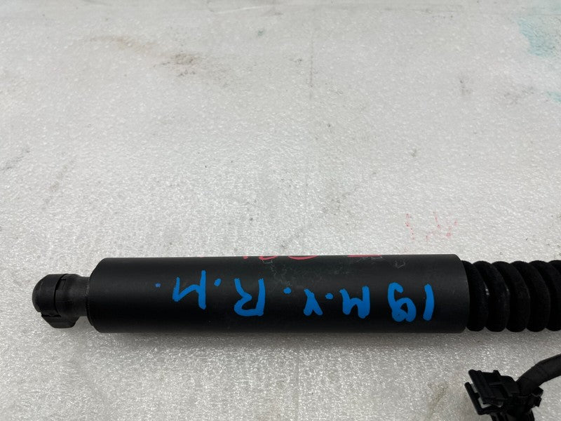 106344001D ⭕ 16-25 Model X Rear Right Front Left Primary Falcon Door Gas Strut 1063440-01-D