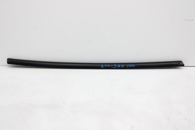 ⭕ 2020-2023 Tesla Model 3 Front Driver Side Exterior Door Outer Belt Black Left