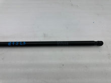 ⭕ 2012-2020 Tesla Model S Rear Left Tailgate Trunk Liftgate Gas Strut LH 6006608