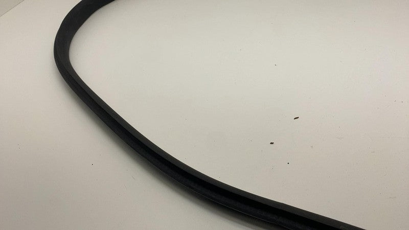 2020-2023 Tesla Model Y Rear Driver Side Door Body Weatherstrip Rubber Seal Left
