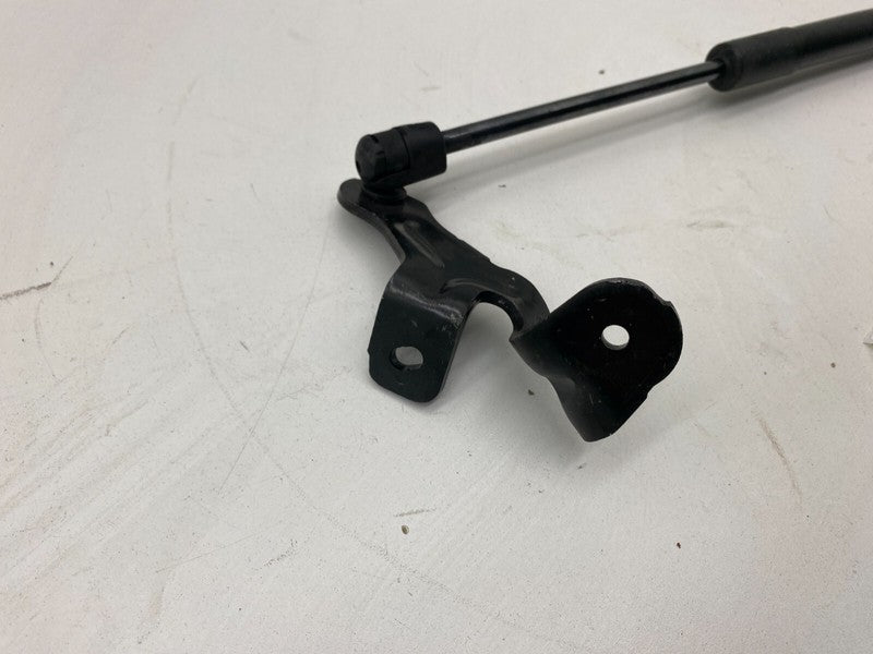 ⭕ 2017-2023 Tesla Model 3 Front Driver Side Hood Lift Shock Strut Support Left