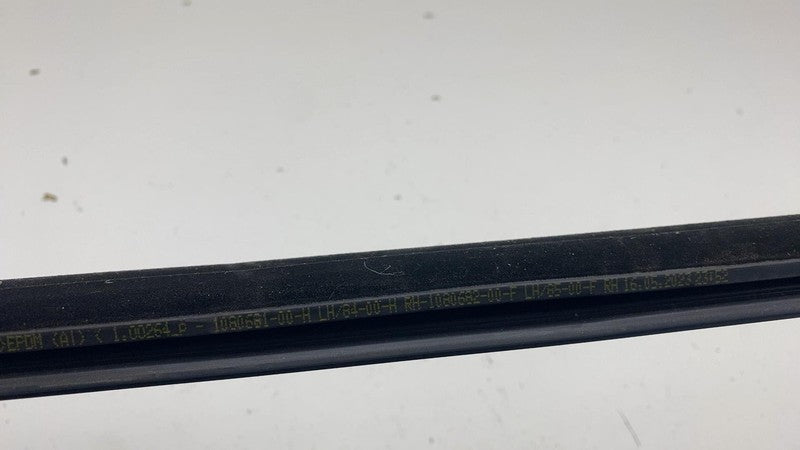 ⭕ 2021-2025 Tesla Model 3 Front Left Door Window Outer Belt Molding 10