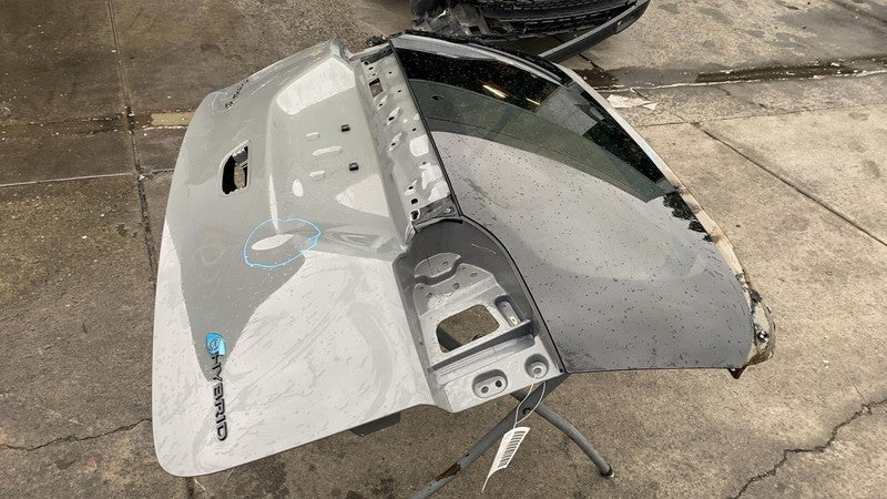 2021-2024 Chrysler Pacifica Trunk Tailgate Liftgate Decklid Shell Panel Gray PDN