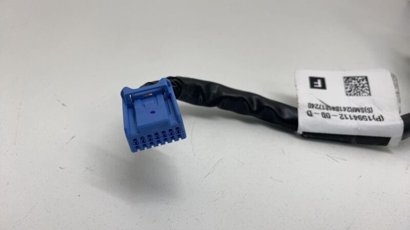 1594112-00-D 2020-2024 Tesla Model Y Right Exterior Rear View Door Mirror RH (NO SKULL CAP)