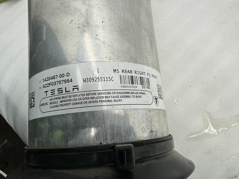 142046700D ⭕21-23 Model S Rear Passenger Side Air Suspension Strut Shock Right 1420467-00-D