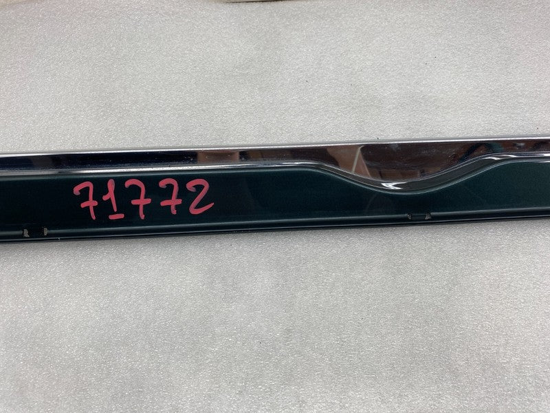 101221500C ⭕ 12-25 Model S Driver Side Rocker Panel Scuff Plate Molding Left 1012215-00-C