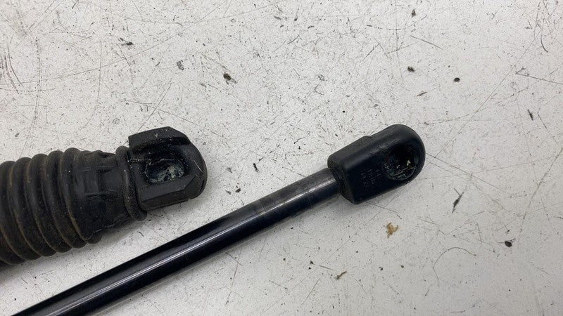⭕ 17-23 Model 3 Rear Left & Right Trunk Tailgate Strut 1551488-98-B/15