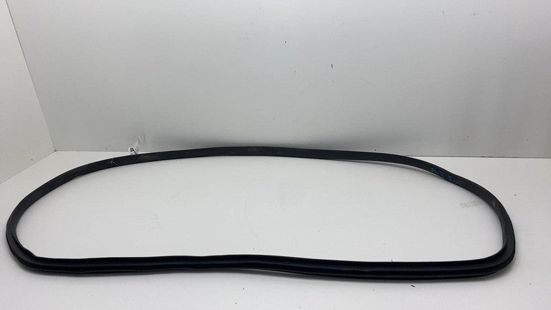 2020-2023 Tesla Model Y MY Front Driver Left Door Body Weatherstrip Rubber Seal