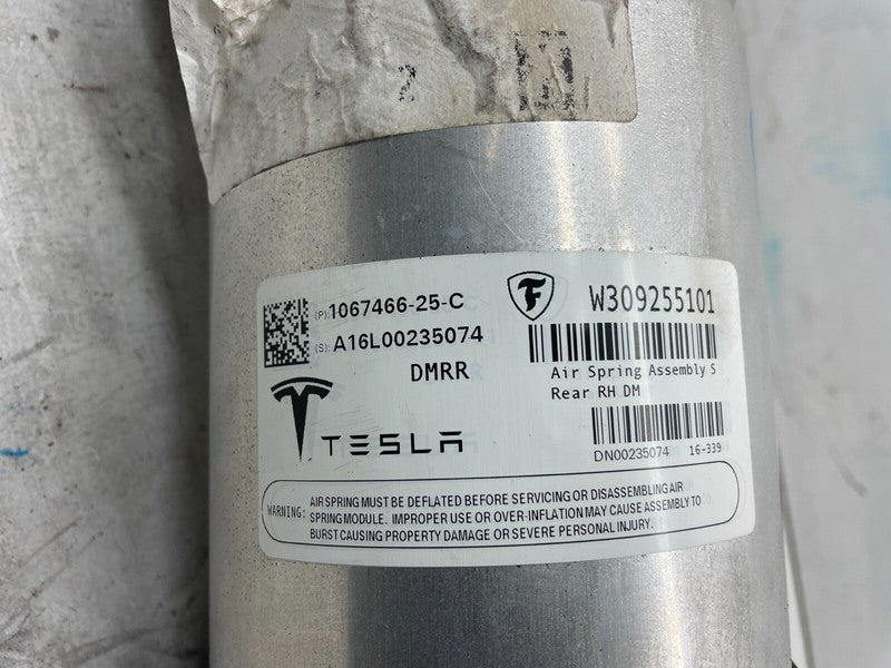 ⭕ 16-20 Model S Rear Right Suspension Air Spring Shock Strut Module 10