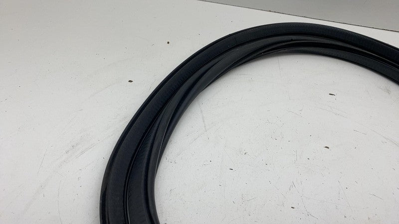 ⭕ 21-23 Polestar 2 Front Passenger Door Body Weatherstrip Seal Right R