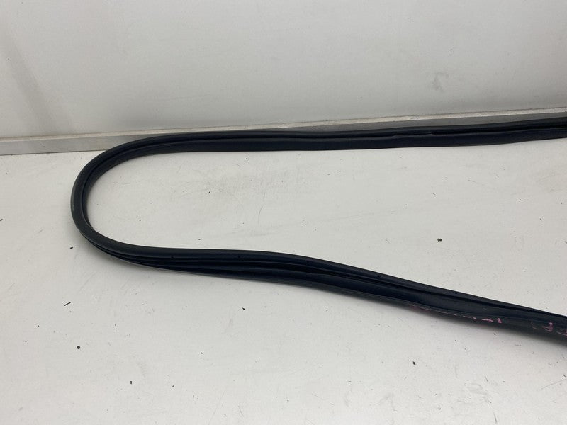 ⭕ 22-24 Hyundai Ioniq 5 Rear Passenger Side Door Weatherstrip Rubber Seal Right