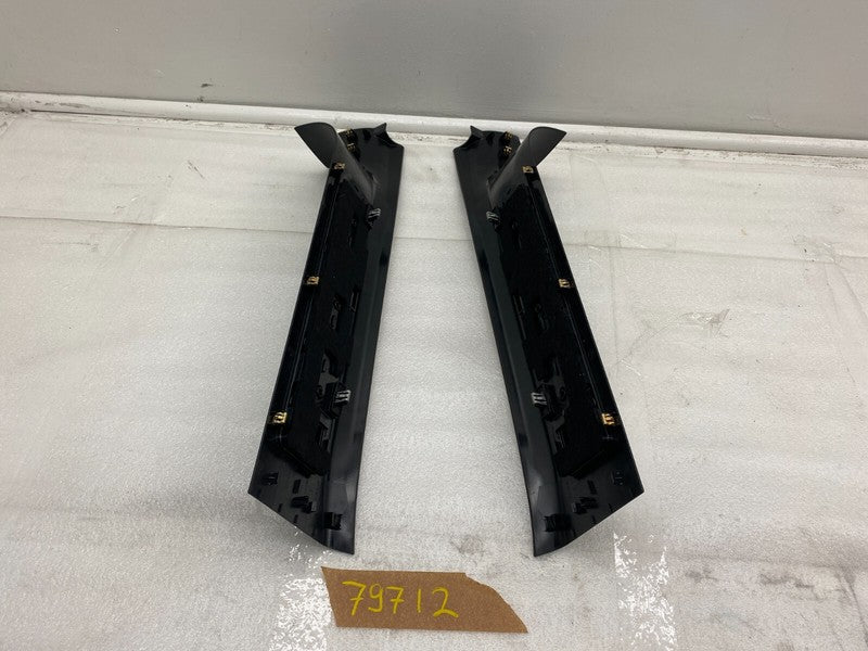 ⭕ 2016-2020 Tesla Model X PAIR (Left & Right) Rear Door Sill Trim Pane