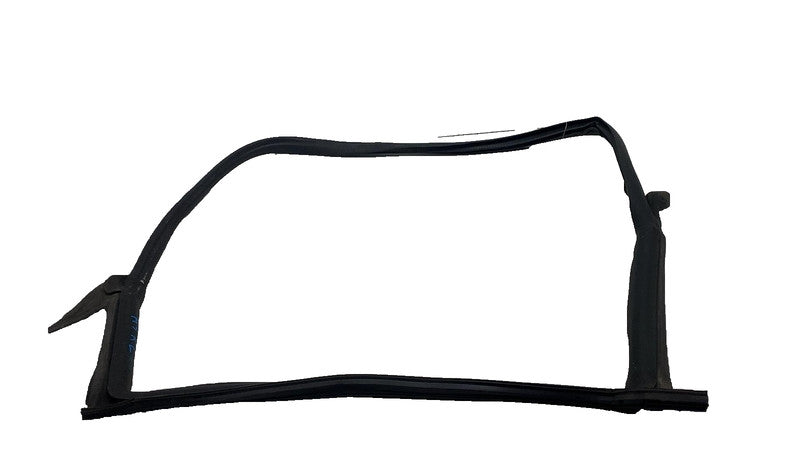 2017-2023 Tesla Model 3 Rear Driver Side Left Door Primary Weatherstri