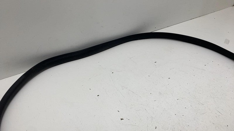 ⭕ 24-25 Model 3 Rear Right Primary Body Weatherstrip Rubber Seal RH 19