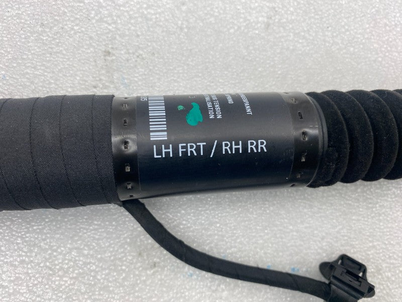 ⭕ 16-25 Model X Front Left/Rear Right Primary Door Lift Shock Strut 10