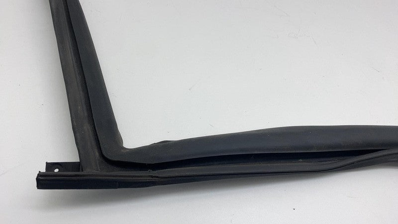 2017-2023 Tesla Model 3 Rear Passenger Right Door Body Weatherstrip Rubber Seal