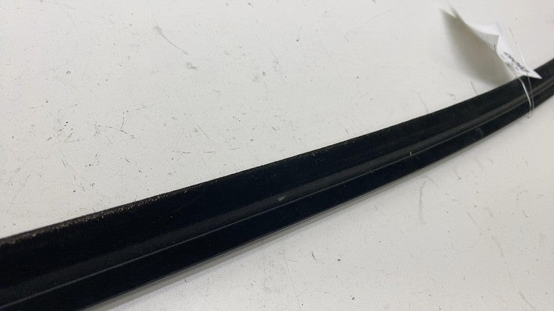 ⭕ 21-24 Ford Mustang Mach-E Rear Passenger Side Door Window Belt Molding Right