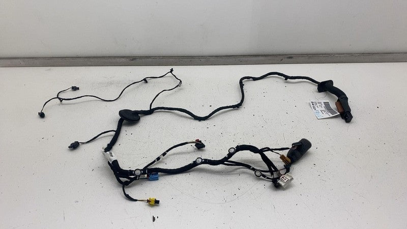 4KE 971 029 ⭕ 19-23 Audi E-Tron Front Left Driver Side Door Wire Wiring Harness LH 4KE971029