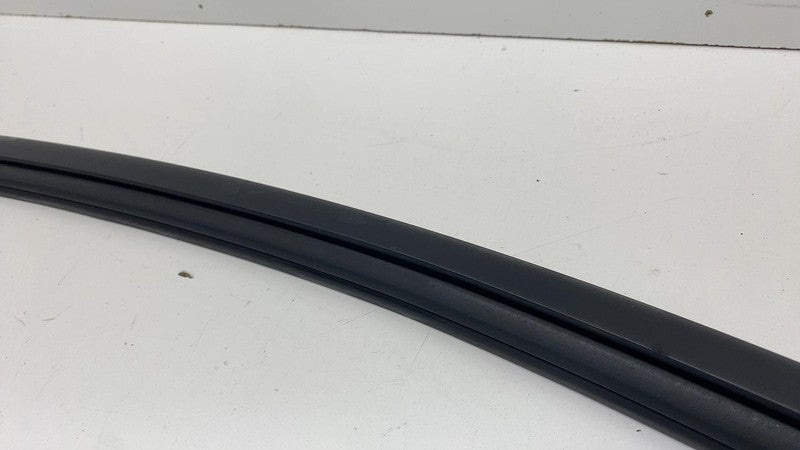 LJ8BR21511A ⭕ 21-24 Mustang Mach-E Front Left Door Window Glass Channel Seal LJ8B-R21511-A