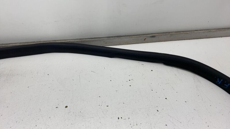 191098400D ⭕ 24-25 Model 3 Front Right Primary Body Weatherstrip Rubber Seal 1910984-00-D