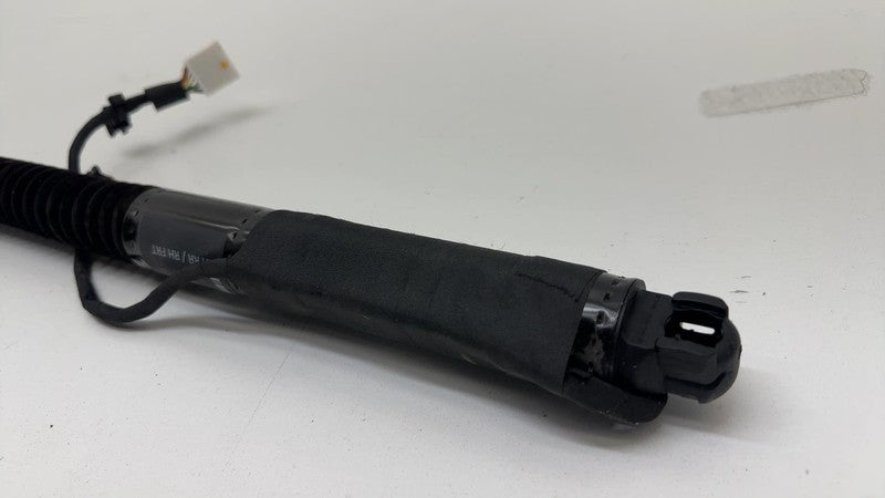 ⭕ 16-24 Tesla Model X Rear Left/Front Right Primary Door Lift Strut 10