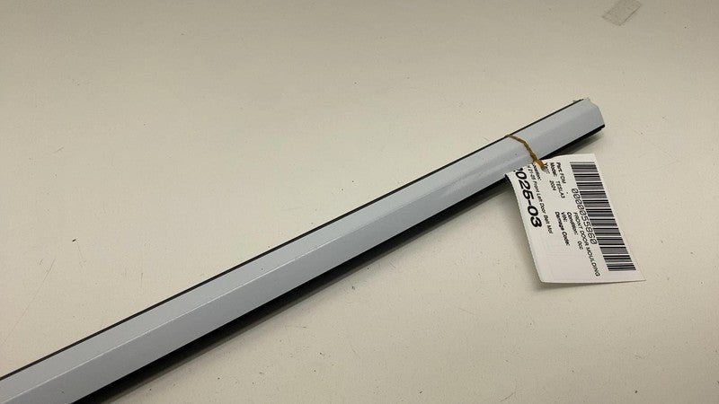 108068100H ⭕ 2021-2025 Tesla Model 3 Front Left Door Window Outer Belt Molding 1080681-00-H