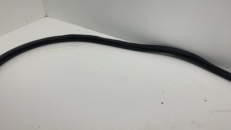 ⭕ 2017-2025 Chrysler Pacifica Front Right Door Body Weatherstrip Rubber Seal RH