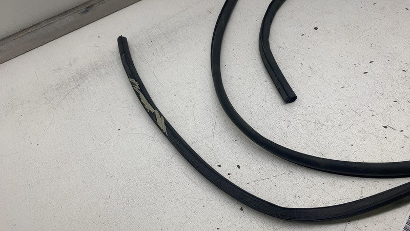⭕ 2019-2023 Audi E-Tron Rear Left Driver Side Door Body Weatherstrip Seal OEM LH