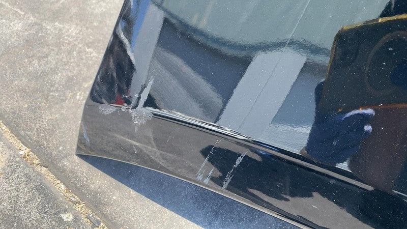 ⭕ 2023 2024 Tesla Model S MS Rear Bumper Cover Assembly OEM Black - PB