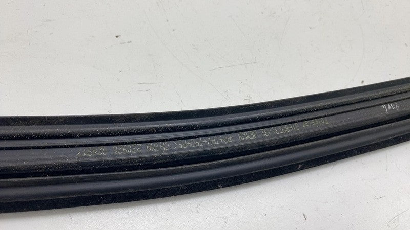 ⭕ 21-23 Polestar 2 Rear Right Door Window Weatherstrip w/ Trim Molding