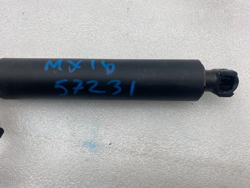 ⭕ 16-25 Model X Front Left/Rear Right Primary Door Lift Shock Strut 10