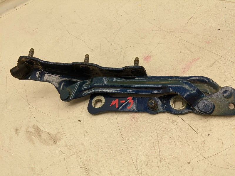 ⭕ 2017-2020 Tesla Model 3 Rear Passenger Tailgate Trunk Lid Liftgate H