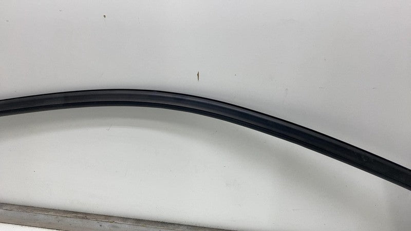⭕ 2014-2021 BMW i3 Right Front Door Glass Upper Seal Water Stripper Assembly OEM