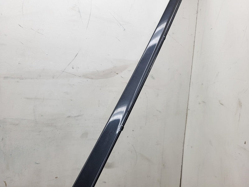 101221500F ⭕ 12-25 Model S Driver Side Rocker Panel Scuff Plate Molding Left 1012215-00-F