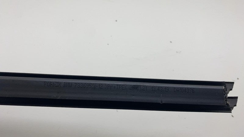 2018-2023 BMW 530e G30 Front Left Side Door Window Rubber Seal Belt St